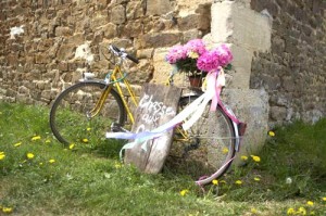 bikewithflowers5