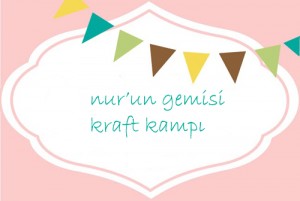 kraft kampı